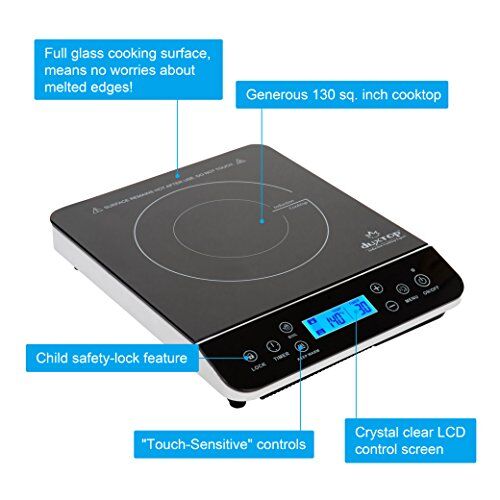 Duxtop 9600LS Portable Induction Cooktop Review [2023